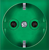 Prikljucnica dvopolna sa zasticenim generatorskim napajanjem, zelena, 2M, Experience, Aling-Conel
